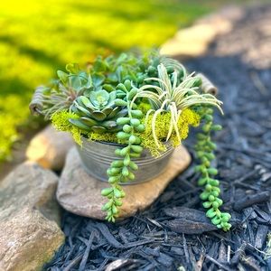 Faux succulent arrangement